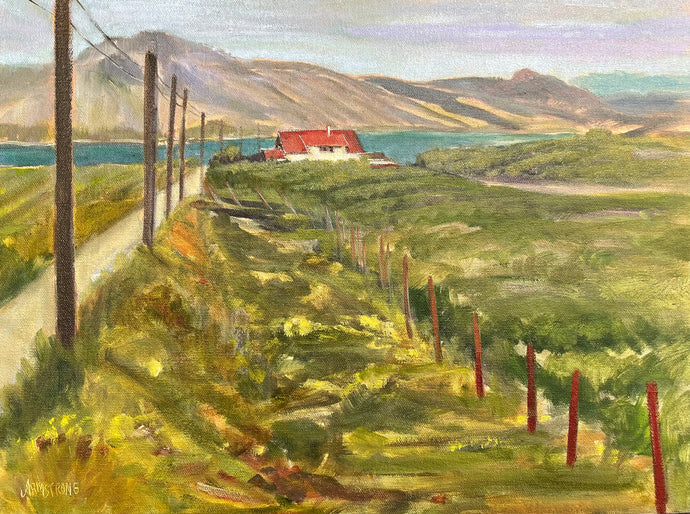 Naramata Vineyard, 12 x 16